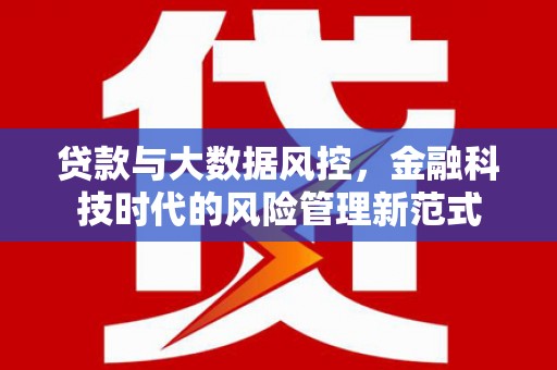 蔡甸贷款与大数据风控，金融科技时代的风险管理新范式