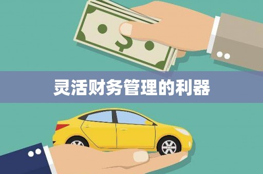 蔡甸灵活财务管理的利器