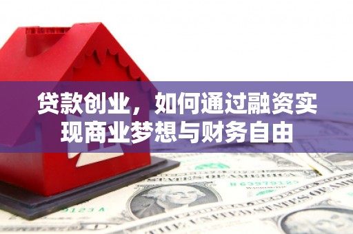 蔡甸贷款创业，如何通过融资实现商业梦想与财务自由