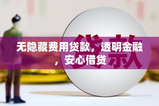 蔡甸无隐藏费用贷款，透明金融，安心借贷