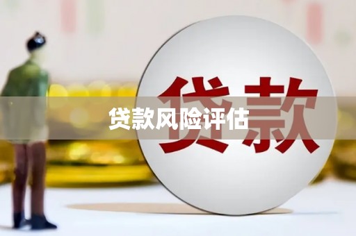 蔡甸贷款风险评估