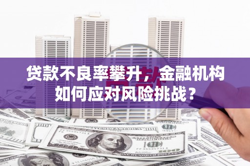 蔡甸贷款不良率攀升，金融机构如何应对风险挑战？