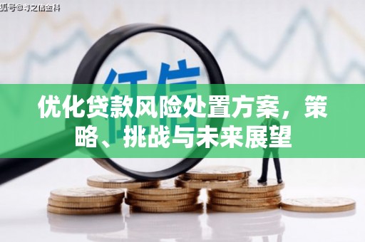 蔡甸优化贷款风险处置方案，策略、挑战与未来展望
