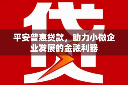 蔡甸平安普惠贷款，助力小微企业发展的金融利器