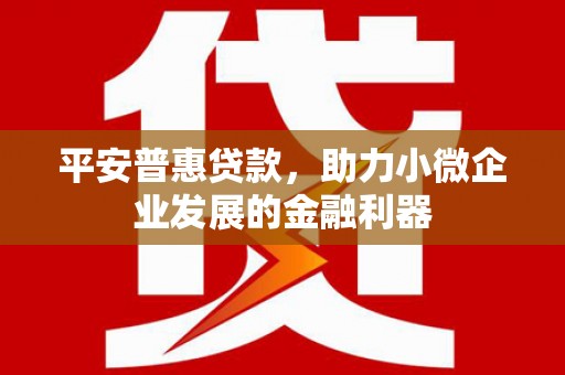 蔡甸平安普惠贷款，助力小微企业发展的金融利器