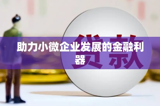 蔡甸助力小微企业发展的金融利器