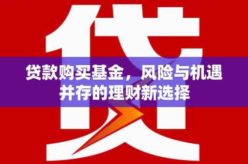 蔡甸贷款购买基金，风险与机遇并存的理财新选择