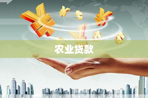 蔡甸农业贷款