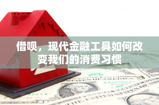 蔡甸借呗，现代金融工具如何改变我们的消费习惯