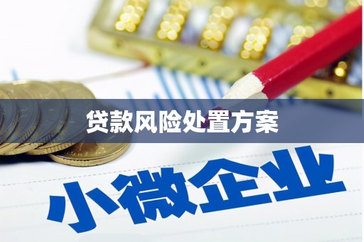 蔡甸贷款风险处置方案