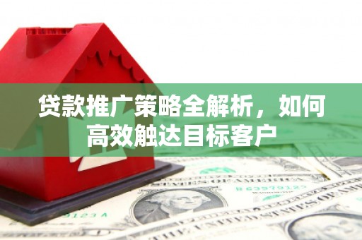 蔡甸贷款推广策略全解析，如何高效触达目标客户