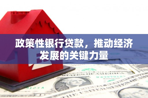 蔡甸政策性银行贷款，推动经济发展的关键力量