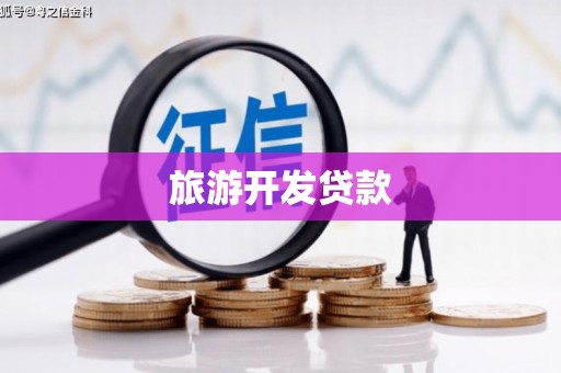 蔡甸旅游开发贷款
