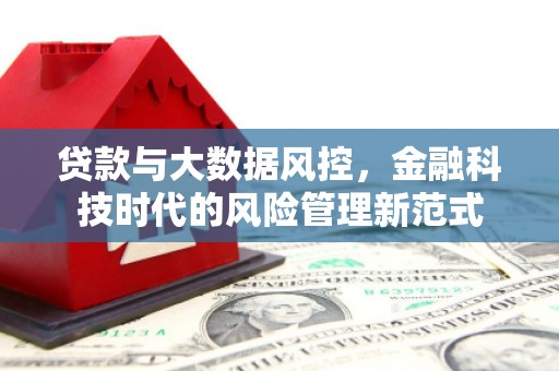 蔡甸贷款与大数据风控，金融科技时代的风险管理新范式