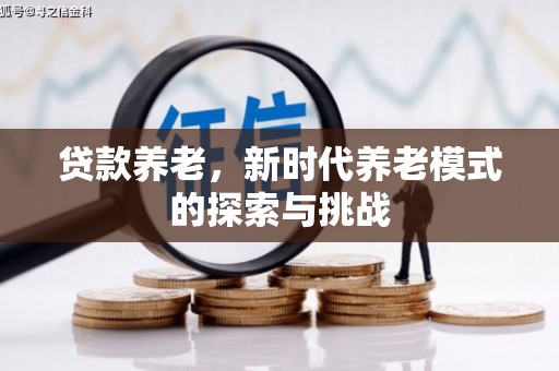 蔡甸贷款养老，新时代养老模式的探索与挑战