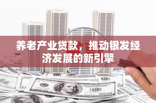 蔡甸养老产业贷款，推动银发经济发展的新引擎