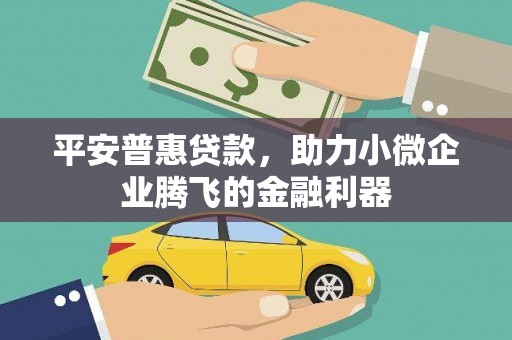 蔡甸平安普惠贷款，助力小微企业腾飞的金融利器