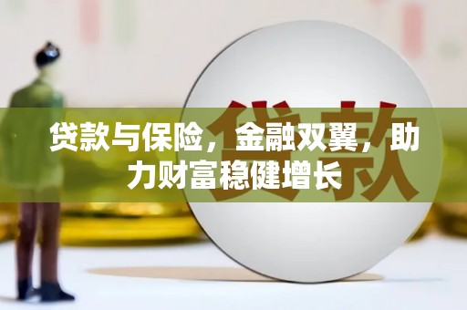 蔡甸贷款与保险，金融双翼，助力财富稳健增长