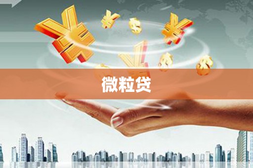 蔡甸微粒贷