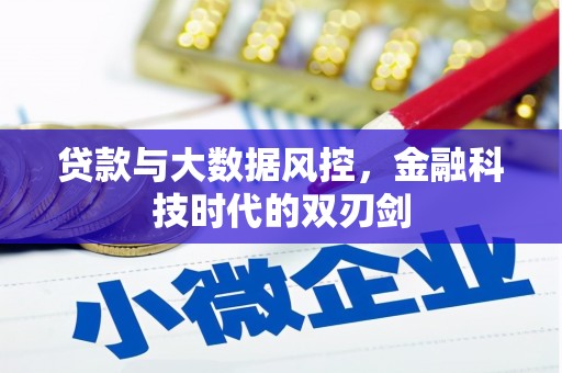 蔡甸贷款与大数据风控，金融科技时代的双刃剑