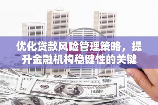 蔡甸优化贷款风险管理策略，提升金融机构稳健性的关键