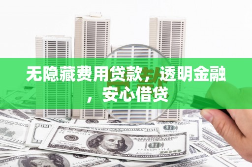 蔡甸无隐藏费用贷款，透明金融，安心借贷