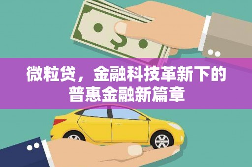 蔡甸微粒贷，金融科技革新下的普惠金融新篇章