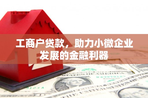 蔡甸工商户贷款，助力小微企业发展的金融利器