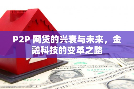 蔡甸P2P 网贷的兴衰与未来，金融科技的变革之路