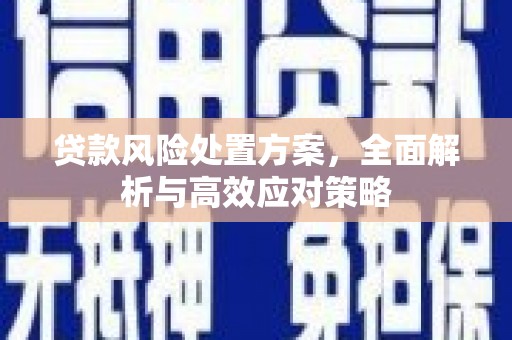 蔡甸贷款风险处置方案，全面解析与高效应对策略