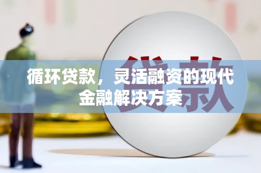 蔡甸循环贷款，灵活融资的现代金融解决方案