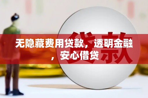 蔡甸无隐藏费用贷款，透明金融，安心借贷