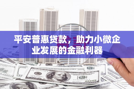 蔡甸平安普惠贷款，助力小微企业发展的金融利器