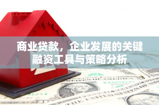 蔡甸商业贷款，企业发展的关键融资工具与策略分析