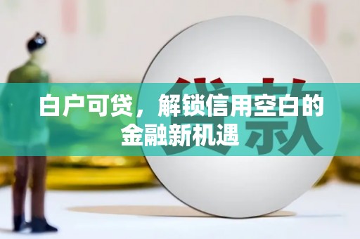 蔡甸白户可贷，解锁信用空白的金融新机遇