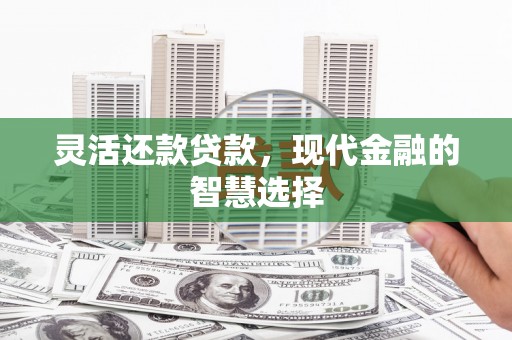 蔡甸灵活还款贷款，现代金融的智慧选择