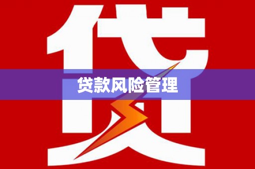 蔡甸贷款风险管理