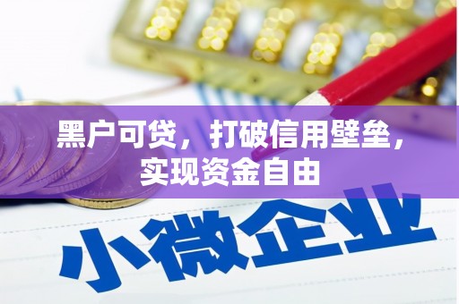 蔡甸黑户可贷，打破信用壁垒，实现资金自由
