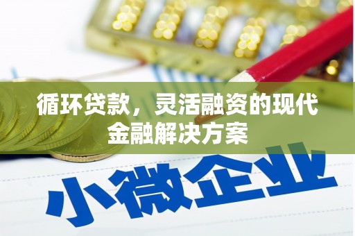 蔡甸循环贷款，灵活融资的现代金融解决方案