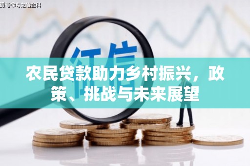 蔡甸农民贷款助力乡村振兴，政策、挑战与未来展望