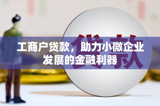 蔡甸工商户贷款，助力小微企业发展的金融利器