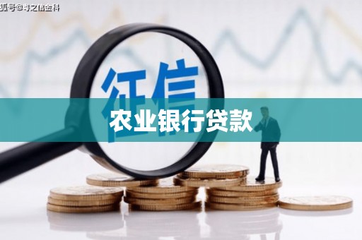 蔡甸农业银行贷款