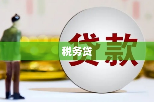 蔡甸税务贷