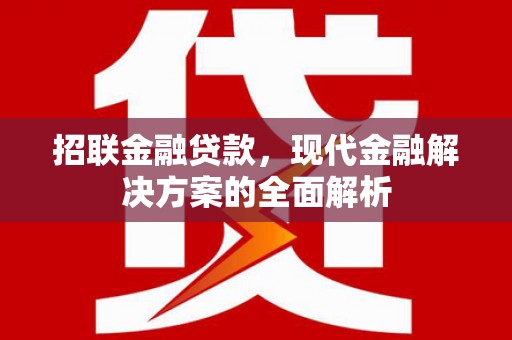 蔡甸招联金融贷款，现代金融解决方案的全面解析