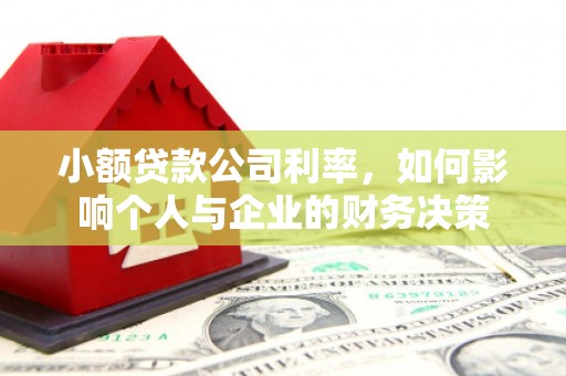 蔡甸小额贷款公司利率，如何影响个人与企业的财务决策