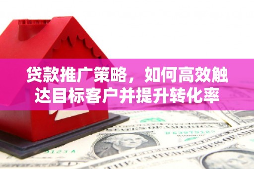 蔡甸贷款推广策略，如何高效触达目标客户并提升转化率