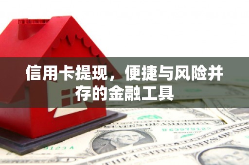 蔡甸信用卡提现，便捷与风险并存的金融工具