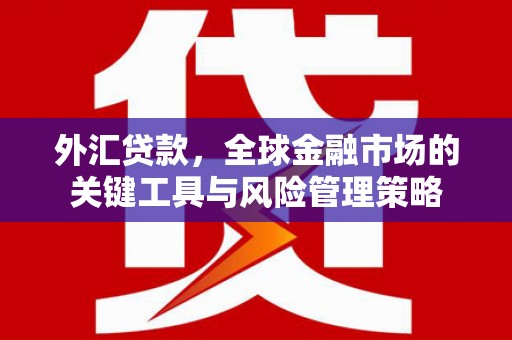 蔡甸外汇贷款，全球金融市场的关键工具与风险管理策略