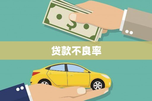 蔡甸贷款不良率