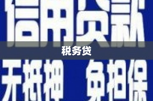 蔡甸税务贷
